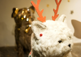 Fotonachweis: Reinhard Winkler