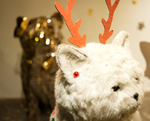 Fotonachweis: Reinhard Winkler