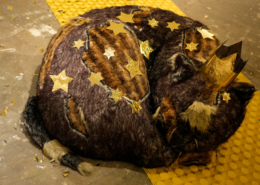 Fotonachweis: Reinhard Winkler